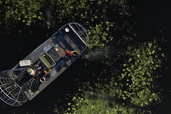 Грасріверс — офіційний скриншот GTA 6 (3)