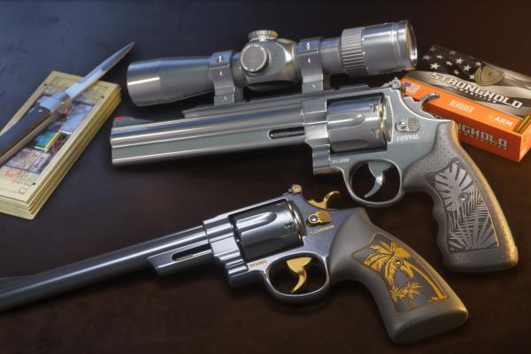 Ultimate Edition: Hawk and Little Morgan Revolvers — офіційний скриншот GTA 6 (2)