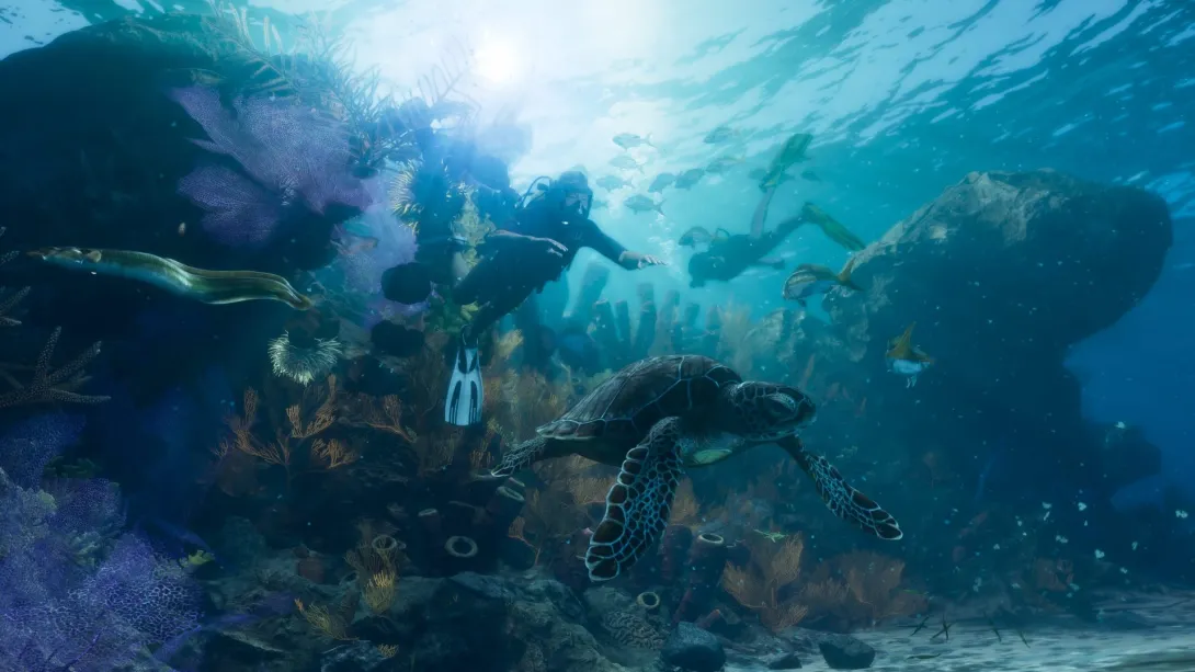 Buceadores nadan sobre un arrecife junto a una tortuga marina y peces cerca de Leonida Keys en GTA 6