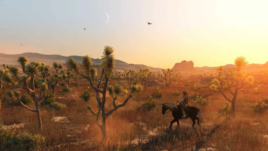 Gün batımında çölde Yuşa ağaçları arasında bir binici — Red Dead Redemption